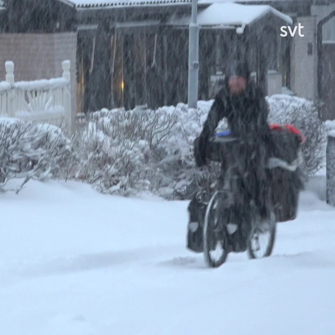 Tim cyklar och tältar i isande kyla från Litauen till Nordkap