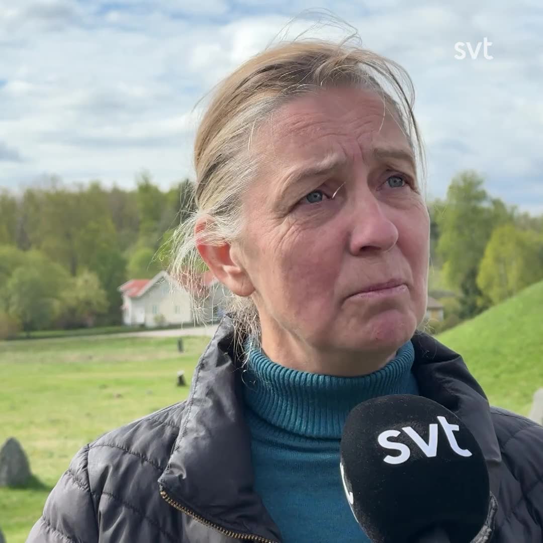 Är kameror en lösning?
